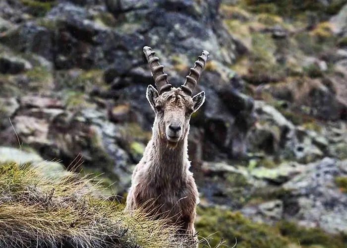 La Cachette Relax Cir 0001