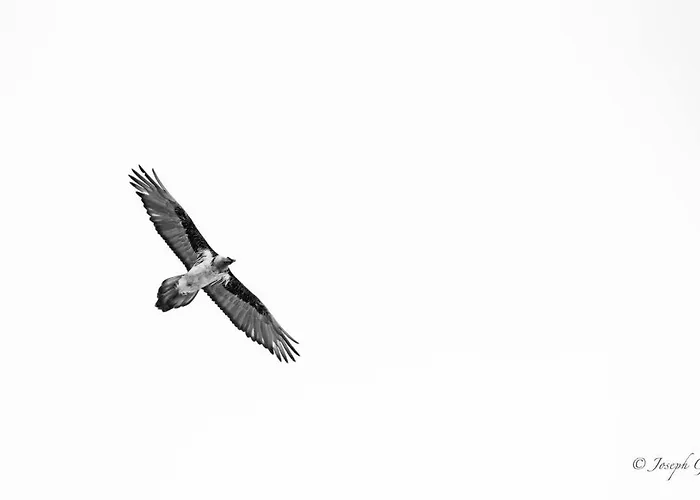 La Cachette Relax Cir 0001