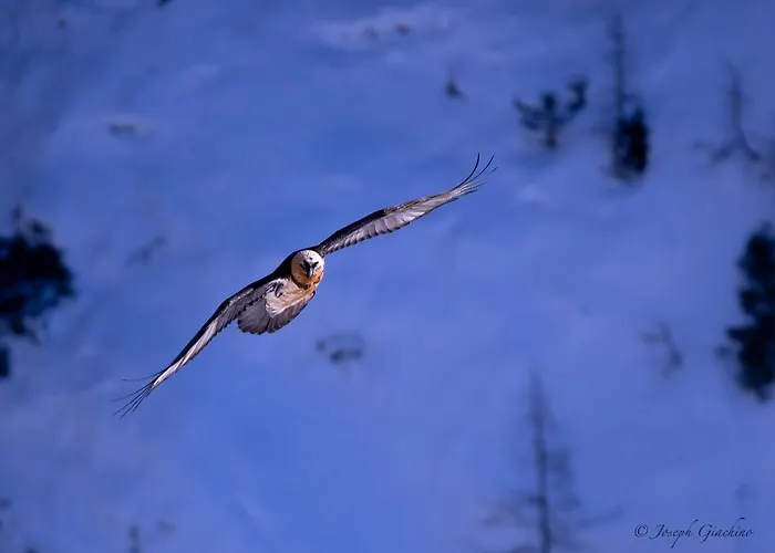 דירה La Cachette Relax Cir 0001 אאוסטה